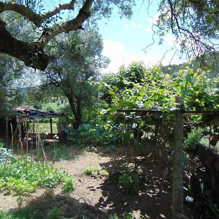Casa Rebelo-Pet friendly Guest House Cossourado  Eksteriør bilde