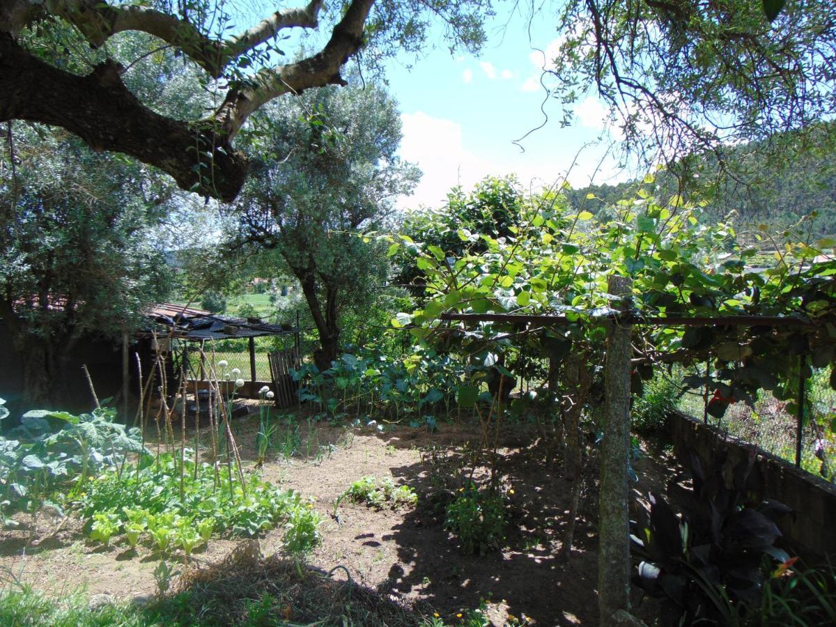Casa Rebelo-Pet friendly Guest House Cossourado  Eksteriør bilde