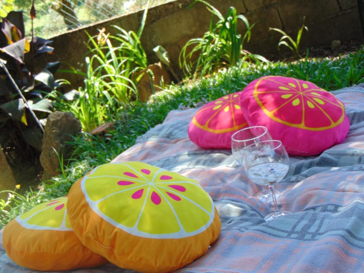 Casa Rebelo-Pet friendly Guest House Cossourado  Eksteriør bilde