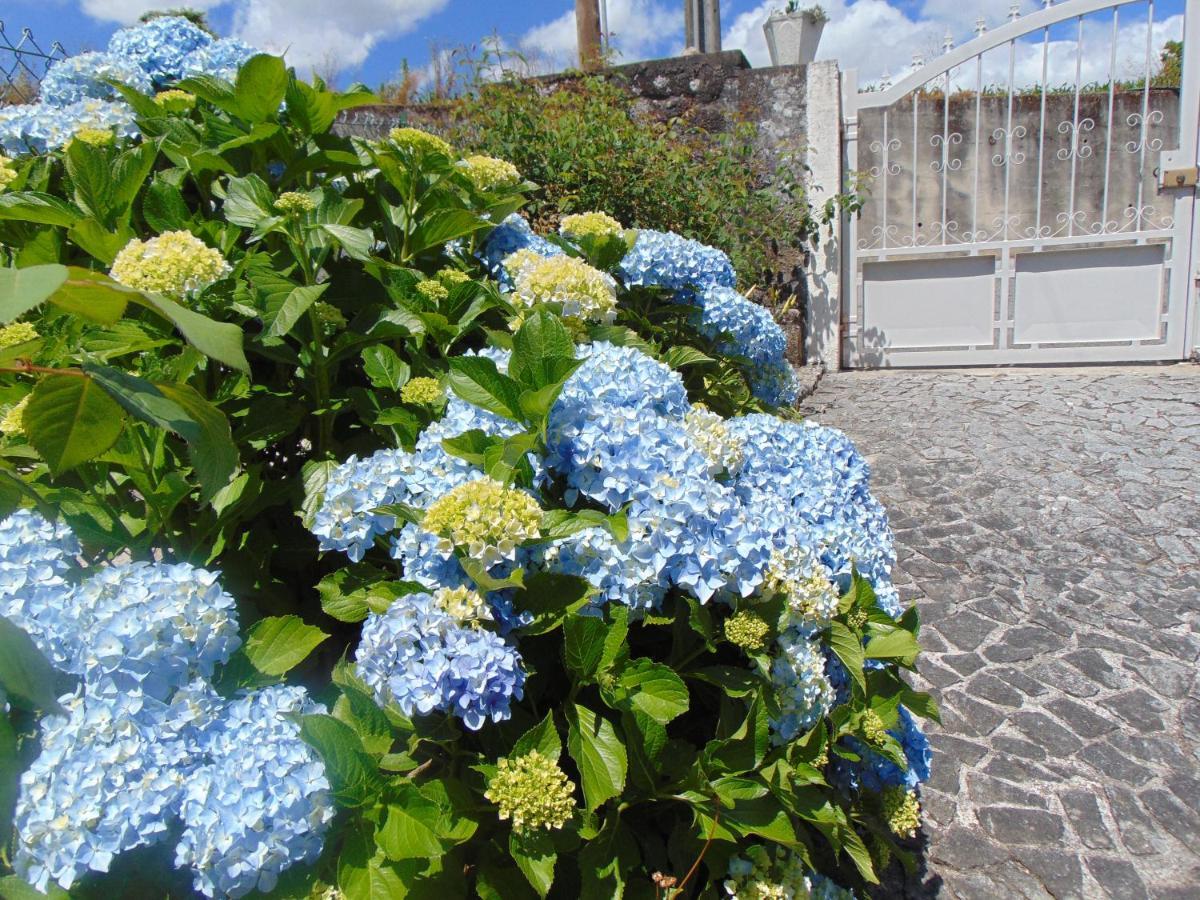 Casa Rebelo-Pet friendly Guest House Cossourado  Eksteriør bilde