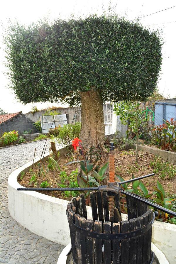 Casa Rebelo-Pet friendly Guest House Cossourado  Eksteriør bilde