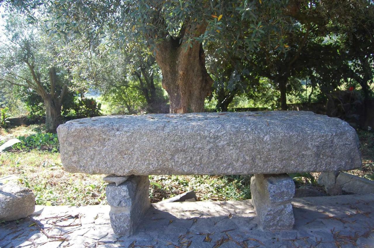 Casa Rebelo-Pet friendly Guest House Cossourado  Eksteriør bilde